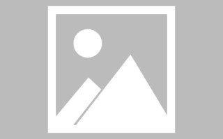 伊春绥化网站搭建公司有哪些（信息网绥化）