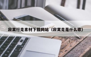 伊春寂寞行走素材下载网站（寂寞走是什么歌）
